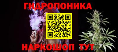 ECSTASY Канаш