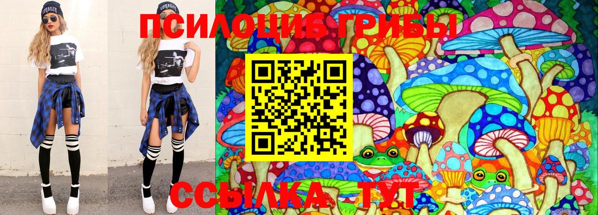 даркнет сайт  Киреевск  Псилоцибиновые грибы Magic Shrooms 