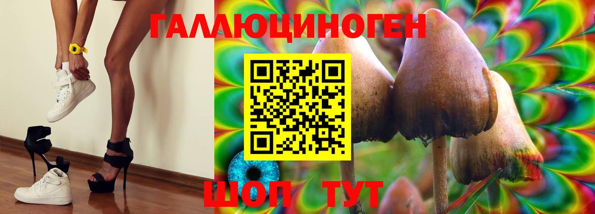Псилоцибиновые грибы GOLDEN TEACHER Киреевск