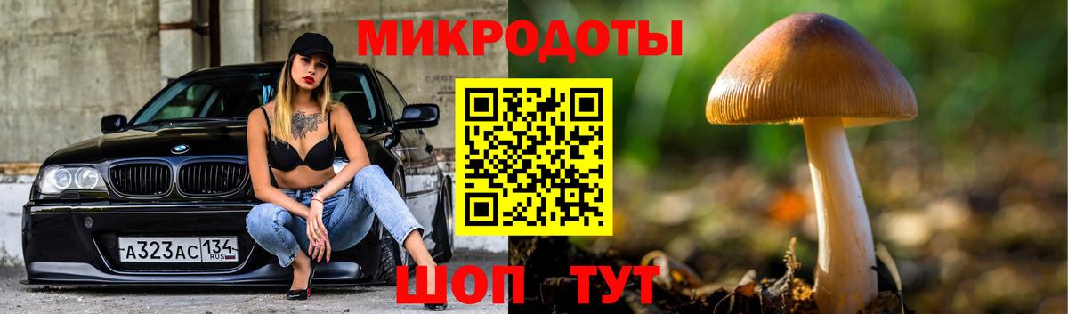 Галлюциногенные грибы MAGIC MUSHROOMS  дарнет шоп  Киреевск  Галлюциногенные грибы Magic Shrooms  Вход с VPN 